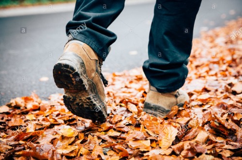 low-section-of-man-walking-on-dry-leaves-WGN81R.jpg